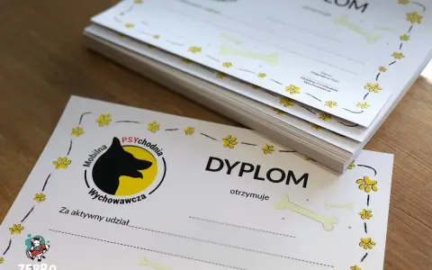 Stos dyplomów na satynowym papierze z motywem psich łapek i kości. Idealne dla psich przedszkoli i szkółek.
