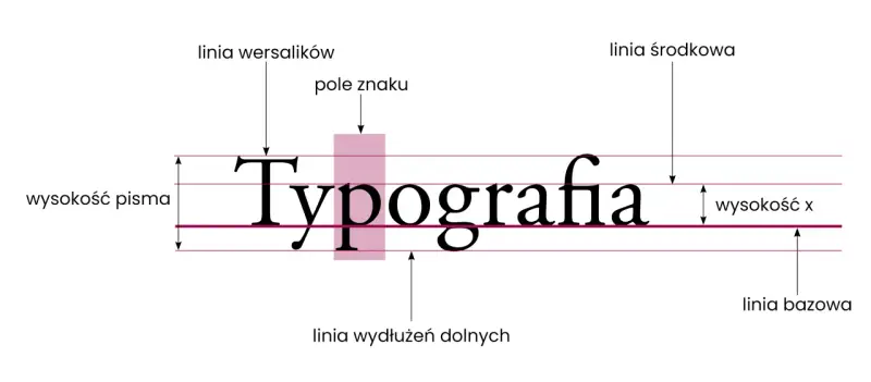 Typografia przykłady: linia bazowa, wysokość pisma, linia wersalików i śródkowa.